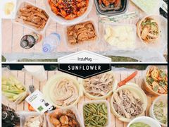 -上海滨江森林公园