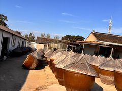 -苏州市吴中区光福窑上花果蜜饯厂