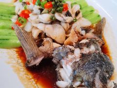 鲜花椒笋壳鱼-南景饭店(万家丽路店)