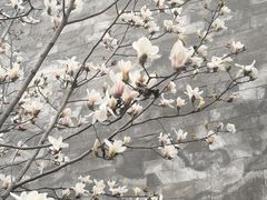 -东华门大街小区