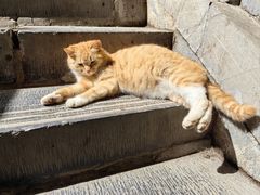 -终南山南五台景区