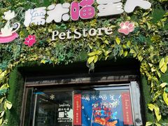 -糯米喵星人总部直营旗舰店·猫舍·幼猫出售