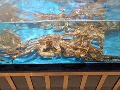 -都市阳光海鲜城(青山湖店)