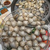 大连📍开海季…吃大连海鲜的快乐你造吗⁉️