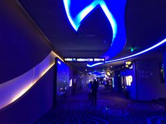 -万达影城(汉街万达广场IMAX店)