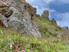 -白草畔自然风景区