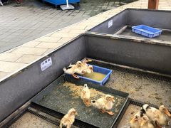 -凯德广场(金牛店)