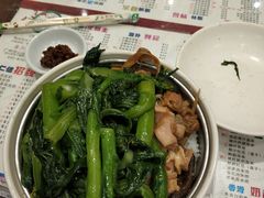 金菜云耳鸡丝炖饭-仁信双皮奶(庙前直街店)