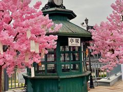 -武汉知音号