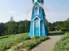 -铁山坪森林公园