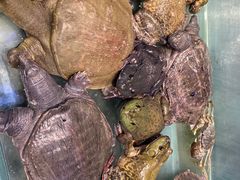 -川骄海鲜自助(河东店)