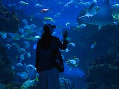 -海合安成都极地海洋公园