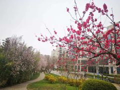 -长安大学(北校区)