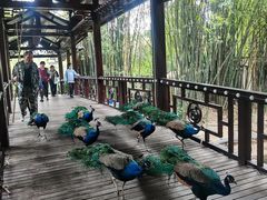 -天赐温泉