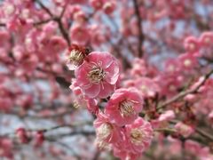 -白塘生态植物园