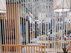 -嘻小北·兰州清汤牛肉面(南翔印象城MEGA店)