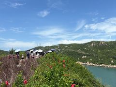 -东澳岛