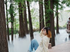 -东湖落雁景区