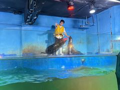 -常州海昌海洋探索馆
