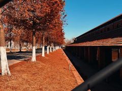 -祝甸砖窑文化馆