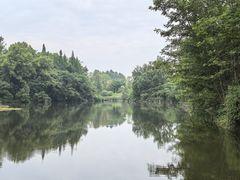 -桤木河湿地公园