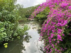 -白沙门生态公园