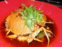 -红辣椒·川菜·火锅(张杨路店)