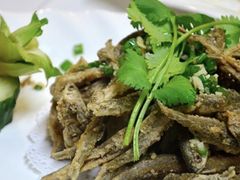 -中原农家乐(中原饭店)