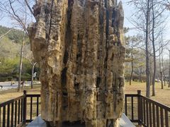 -青州市云门山风景区