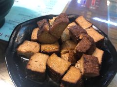 -明潭茶老爸