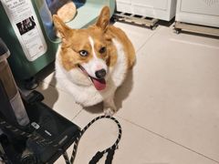 -平行世界·猫咖(首经贸店)