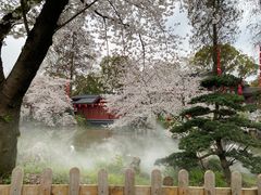 -东湖磨山景区