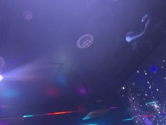 -唱吧麦颂KTV·派对(东坝店)