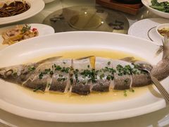 -骏莱海鲜鱼港(五角场店)