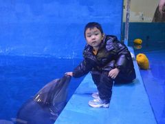 -华夏文旅海洋公园