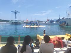 -秦皇岛乐岛海洋王国