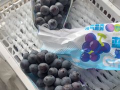 -马陆小张葡萄园农家乐