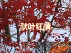 -南山风景名胜区