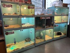 -FAIRYLAND龙族星球主题餐厅(凯丹广场店)