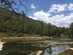 -云南民族村
