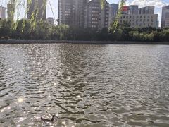 -迎泽公园