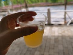 -海南文笔峰盘古文化旅游区