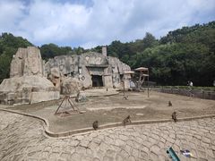 -哈尔滨北方森林动物园