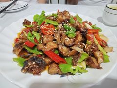 -煲来饱去冷水鱼