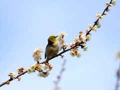 -荔枝公园(福田区)