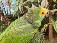 -南宫五洲植物乐园