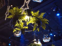 -胡桃里音乐酒馆(四道口店)