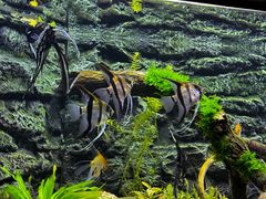 -上海海洋水族馆