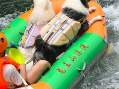 -安吉龙王山峡谷漂流