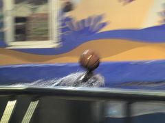 -太平洋海底世界